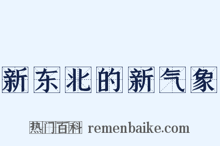 新东北的新气象是什么意思的图片